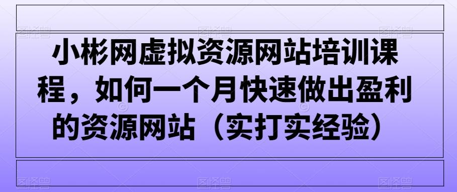小彬网虚拟资源网站培训课程，如何一个月快速做出盈利的资源网站(实打实经验)-89网创