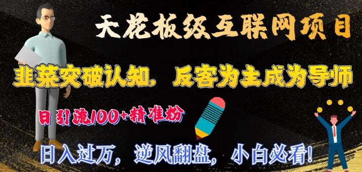 天花板级互联网项目，韭菜突破认知，反客为主成为导师，日引流100+精准粉-89网创