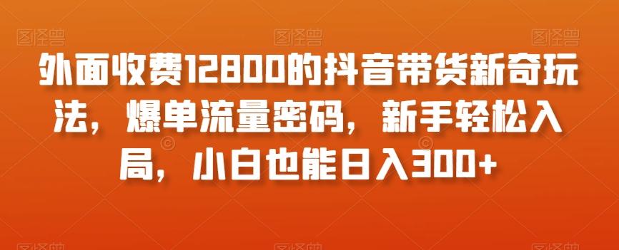 外面收费12800的抖音带货新奇玩法，爆单流量密码，新手轻松入局，小白也能日入300+【揭秘】-89网创