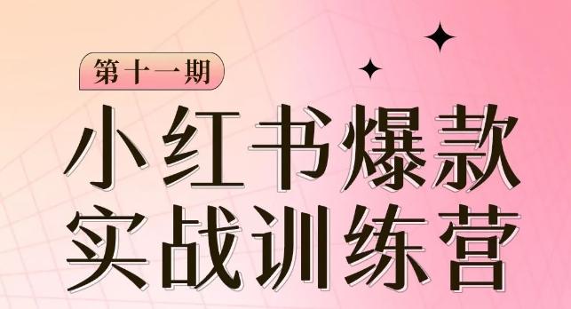 小红书博主爆款训练营第11期，手把手教你从0-1做小红书，从定位到起号到变现-89网创