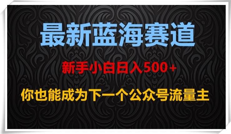 最新蓝海赛道，新手小白日入500+，你也能成为下一个公众号流量主【揭秘】-89网创