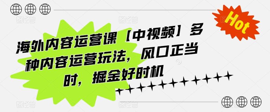 海外内容运营课【中视频】多种内容运营玩法，风口正当时，掘金好时机-89网创