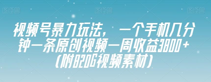 视频号暴力玩法，一个手机几分钟一条原创视频一周收益3800+（附820G视频素材）-89网创