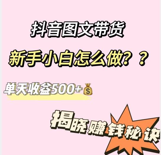 抖音图文带货，新手小白怎么做？单天收益500+【揭秘赚钱秘诀】-89网创