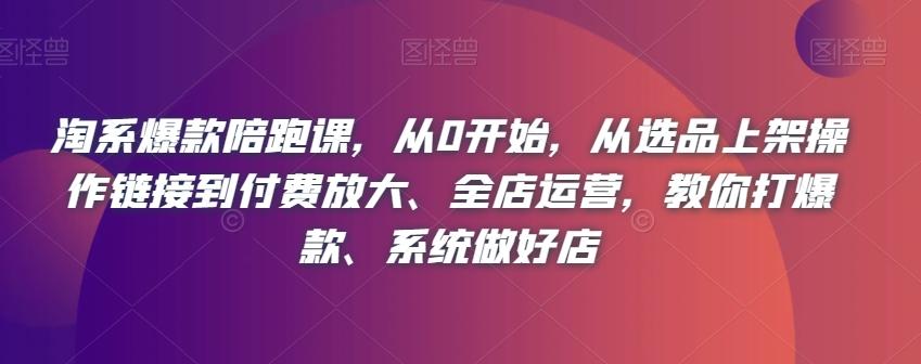 淘系爆款陪跑课，从0开始，从选品上架操作链接到付费放大、全店运营，教你打爆款、系统做好店-89网创