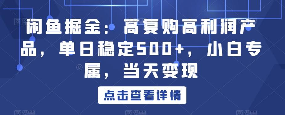 闲鱼掘金：高复购高利润产品，单日稳定500+，小白专属，当天变现-89网创
