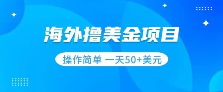 撸美金项目无门槛操作简单小白一天50+美刀-89网创