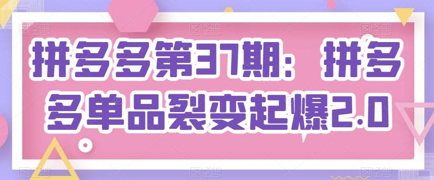 拼多多第37期：拼多多单品裂变起爆2.0-89网创