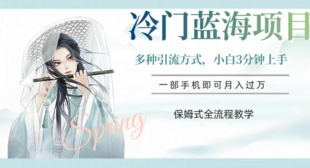 冷门蓝海项目，操作简单，小白3分钟上手，多种引流方式，保姆式全流程教学【揭秘】-89网创