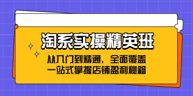 淘系实操精英班：从入门到精通，全面覆盖，一站式掌握店铺盈利秘籍-89网创