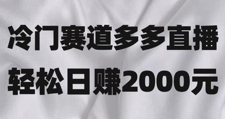 冷门赛道拼多多直播，简单念稿子，日收益2000＋【揭秘】-89网创
