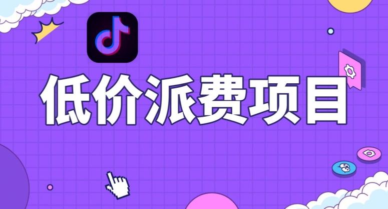 抖音低价派单项目，0门槛，日入1000+很轻松，小白可操作【揭秘】-89网创
