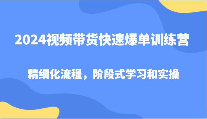 2024视频带货快速爆单训练营，精细化流程，阶段式学习和实操-89网创