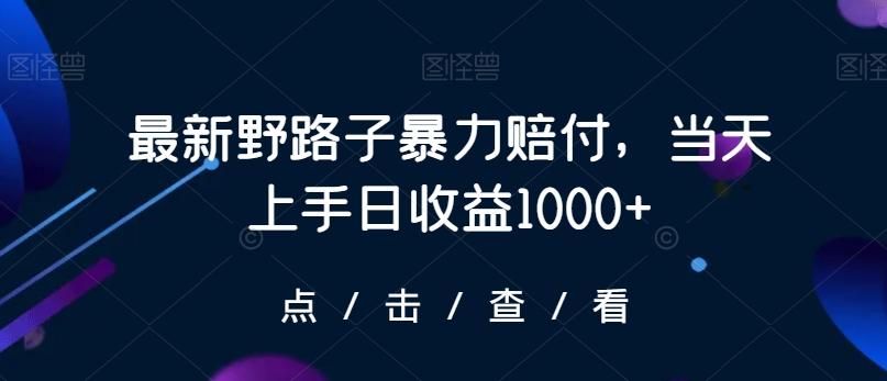 最新野路子暴力赔付，当天上手日收益1000+【仅揭秘】-89网创