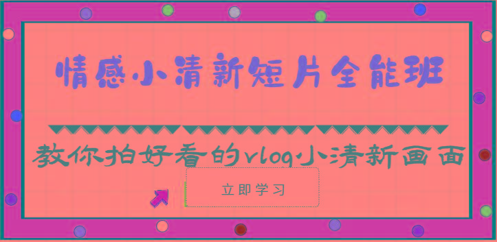 情感小清新短片全能班-教你拍好看的vlog小清新画面(30节课)-89网创