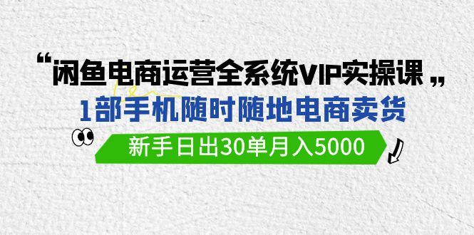 (9547期)闲鱼电商运营全系统VIP实战课，1部手机随时随地卖货，新手日出30单月入5000-89网创