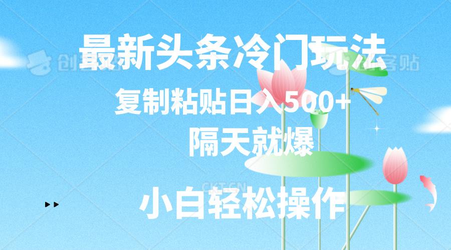最新头条冷门玩法，隔天就爆，复制粘贴日入500+-89网创