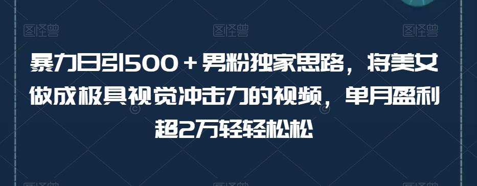 暴力日引500＋男粉独家思路，将美女做成极具视觉冲击力的视频，单月盈利超2万轻轻松松-89网创