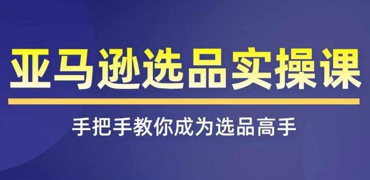 亚马逊选品实操课程，快速掌握亚马逊选品的技巧，覆盖亚马逊选品所有渠道-89网创