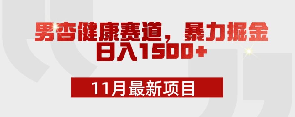 11月最新项目，男杏健康赛道，暴力掘金，日入1500+-89网创