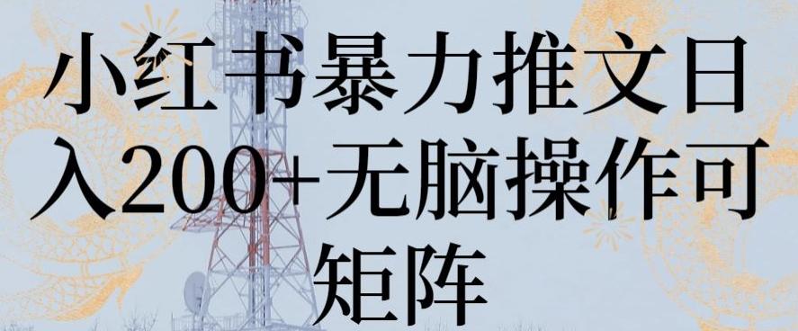 小红书暴力推文日入200+无脑操作可矩阵【揭秘】-89网创