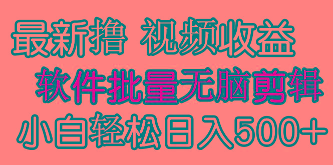 (9569期)发视频撸收益，软件无脑批量剪辑，第一天发第二天就有钱-89网创