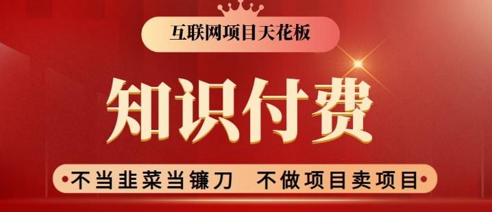 2024互联网项目天花板，新手小白也可以通过知识付费月入10W，实现财富自由【揭秘】-89网创