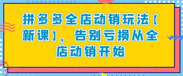 拼多多全店动销玩法【新课】，告别亏损从全店动销开始-89网创