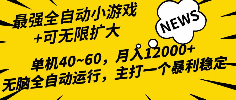 (10046期)2024最新全网独家小游戏全自动，单机40~60,稳定躺赚，小白都能月入过万-89网创