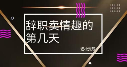 冷门赛道，辞职卖情趣的第几天，超暴力项目-89网创