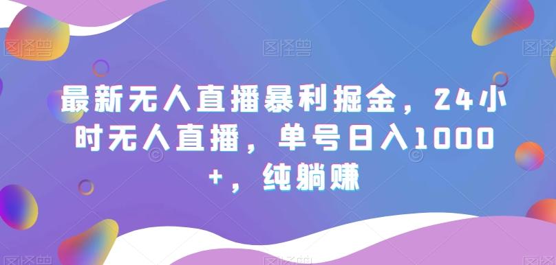 最新无人直播暴利掘金，24小时无人直播，单号日入1000+，纯躺赚-89网创