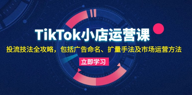 TikTok小店运营课：投流技法全攻略，包括广告命名 扩量手法及市场运营方法-89网创