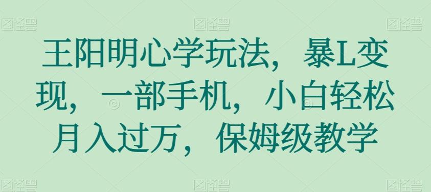 王阳明心学玩法，暴L变现，一部手机，小白轻松月入过万，保姆级教学【揭秘】-89网创