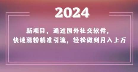 2024新项目，通过国外社交软件，快速涨粉精准引流，轻松做到月入上万【揭秘】-89网创