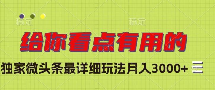 独家微头条最详细玩法，月入3000+【揭秘】-89网创