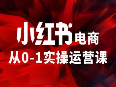 小红书电商从0-1实操运营课，让你从小白到精英-89网创