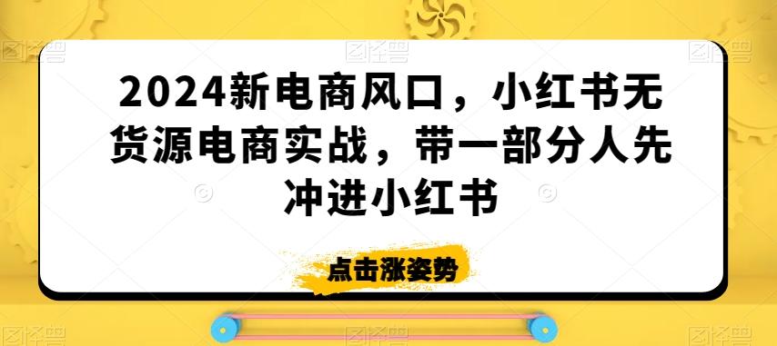 2024新电商风口，小红书无货源电商实战，带一部分人先冲进小红书-89网创
