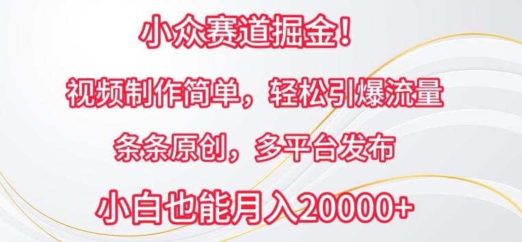 小众赛道掘金，视频制作简单，轻松引爆流量，条条原创，多平台发布【揭秘】-89网创