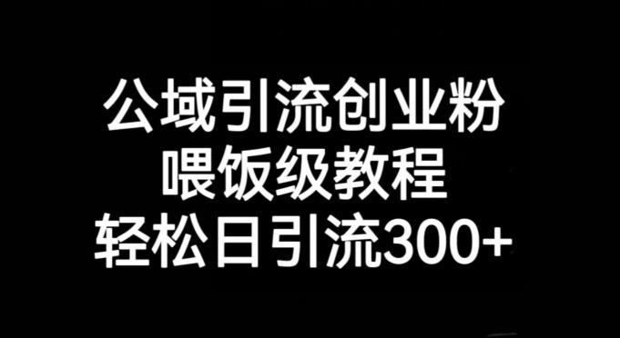 公域引流创业粉，喂饭级教程，轻松日引流300+【揭秘】-89网创