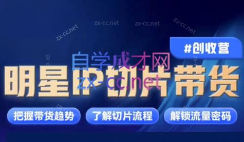 交个朋友·明星IP切片带货爆单营-89网创