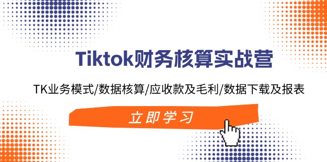 Tiktok财务核算实战营：TK业务模式/数据核算/应收款及毛利/数据下载及报表-89网创