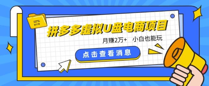 拼多多虚拟U盘电商红利项目：月赚2万+，新手小白也能玩-89网创