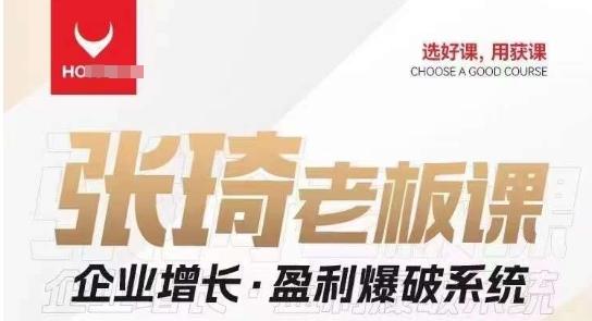 【组合课】张琦张琦老板企业增长·盈利爆破系统（直播专享）-89网创