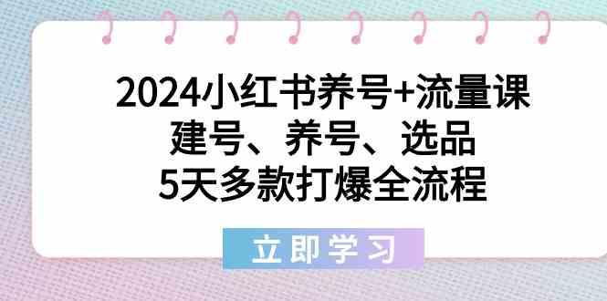 2024小红书养号+流量课：建号、养号、选品，5天多款打爆全流程-89网创