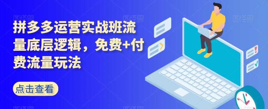 拼多多运营实战班流量底层逻辑，免费+付费流量玩法-89网创