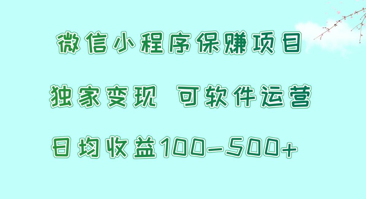 微信小程序保赚项目，日均收益100~500+，独家变现，可软件运营-89网创