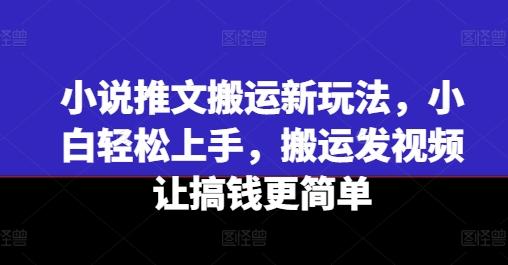 小说推文搬运新玩法，小白轻松上手，搬运发视频让搞钱更简单-89网创