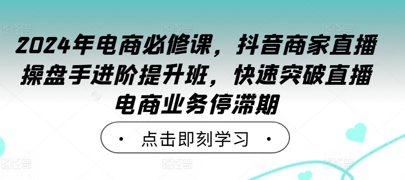 2024年电商必修课，抖音商家直播操盘手进阶提升班，快速突破直播电商业务停滞期-89网创