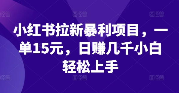 小红书拉新暴利项目，一单15元，日赚几千小白轻松上手【揭秘】-89网创
