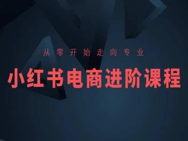 从零开始走向专业，小红书电商进阶课程-89网创
